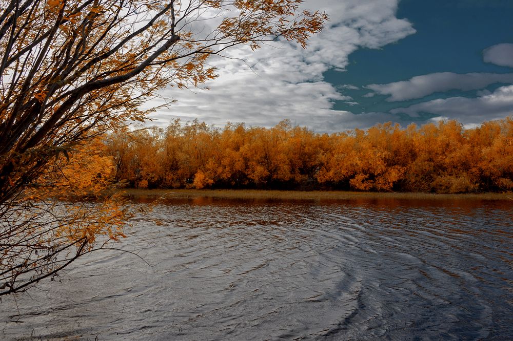 Photograph by Александр Шипиленко