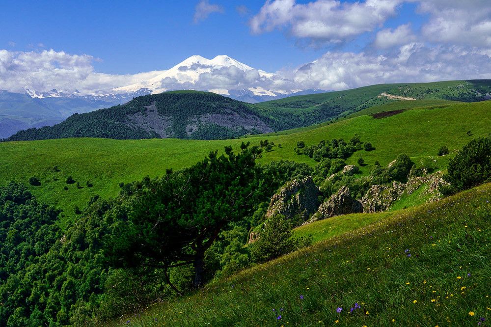 Photograph by Михаил Баевский