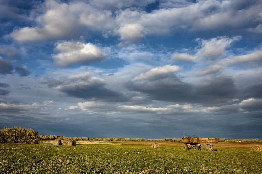 Photograph by Александр Шипиленко