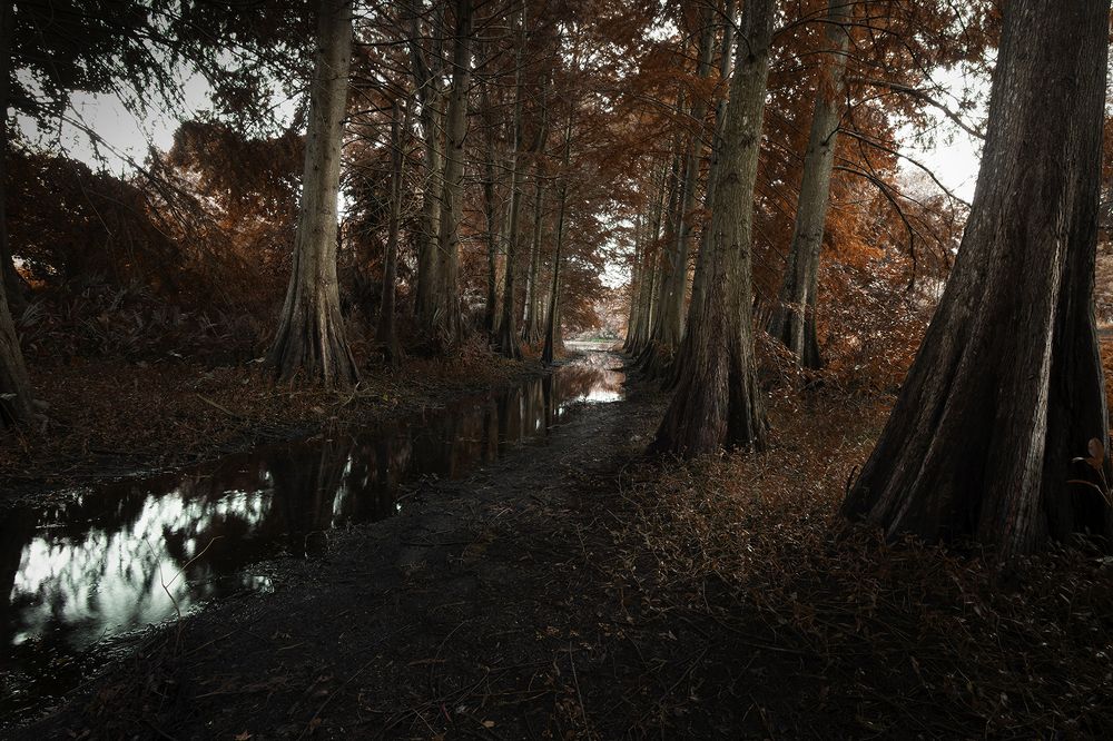 Фотография автора Raymond Asiala