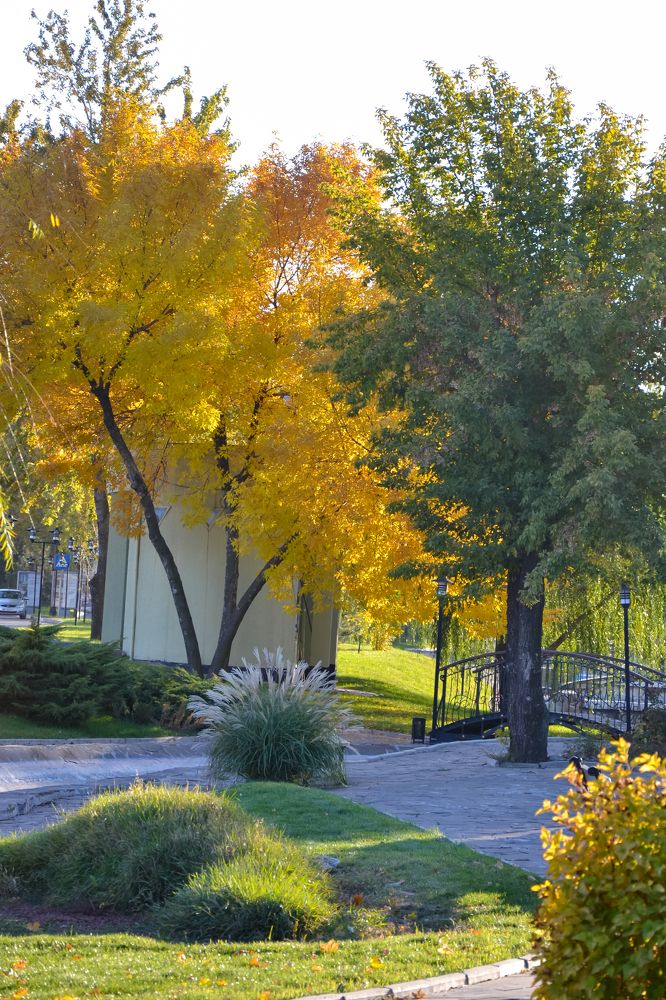 Photograph by Галя Кочубей