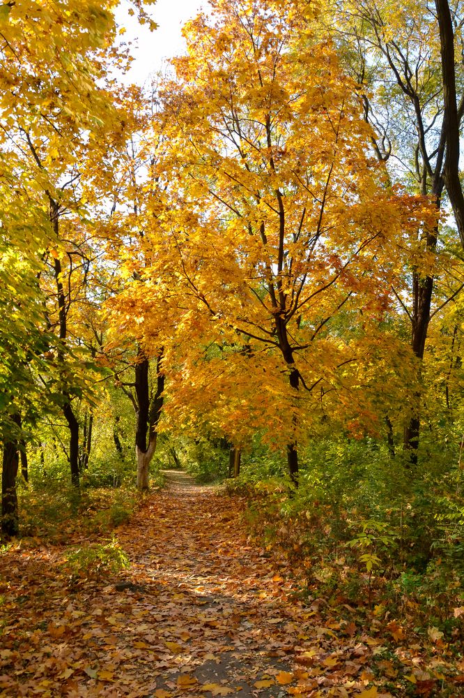 Photograph by Галя Кочубей