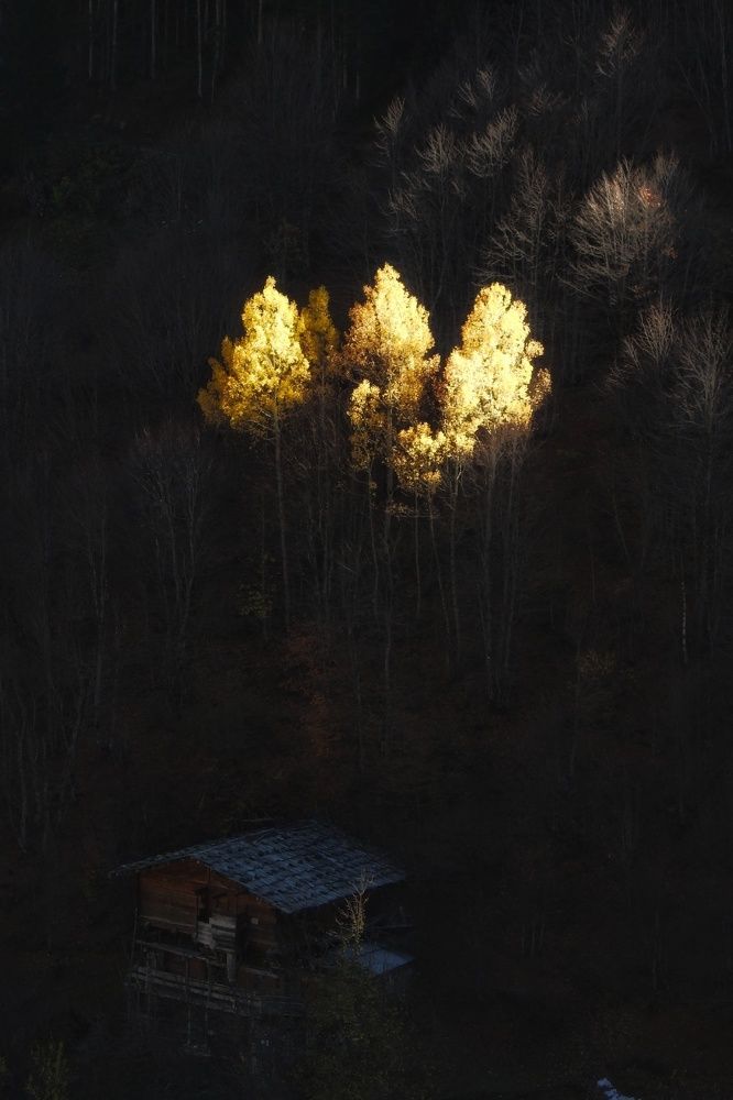 Catching the sunslight