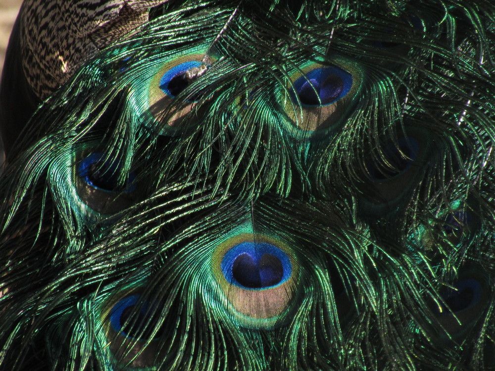 Photograph by Елена Кузнецова