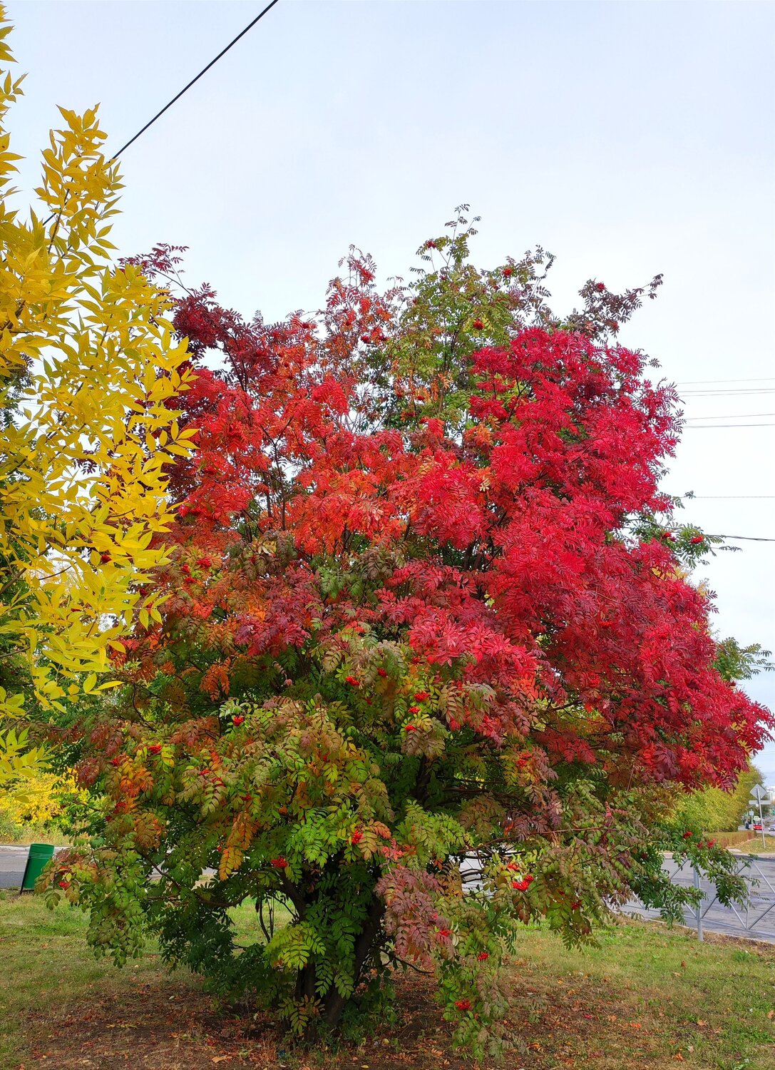 Photo #8058609