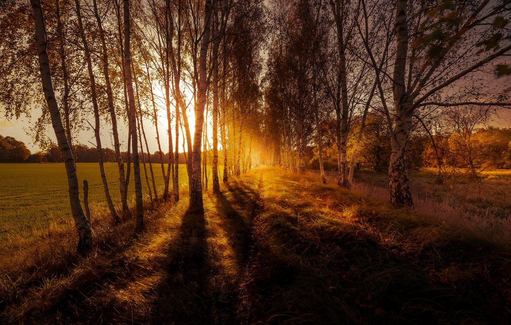 Фотография автора NIghtdream