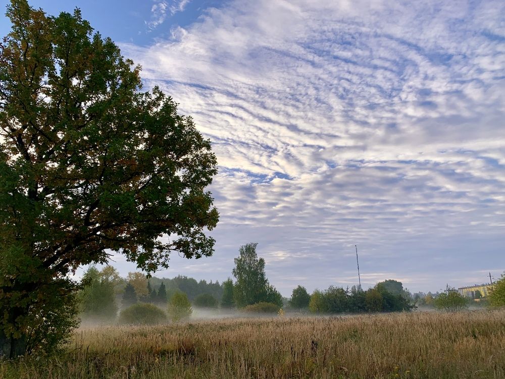 Photograph by Elena Lukashina