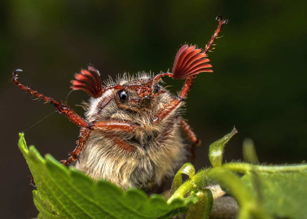 Photograph by Людмила Железнова