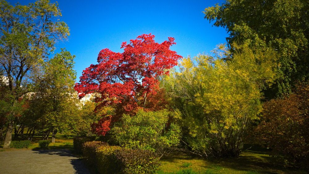 Photograph by Андрей Лебедев