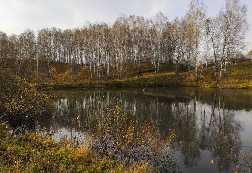 Фотография автора Андрей Данильсон