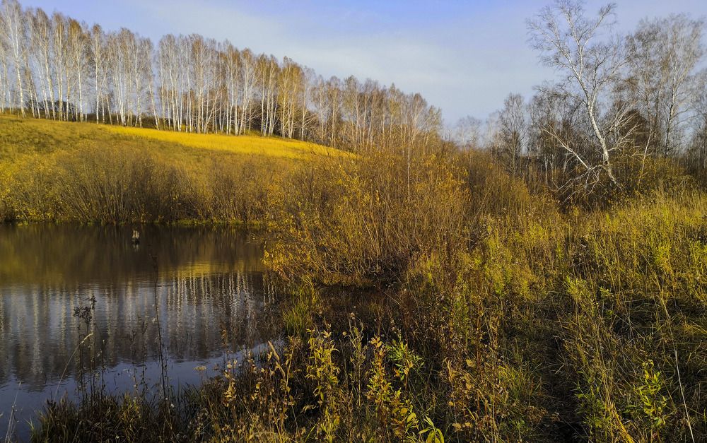 Фотография автора Андрей Данильсон
