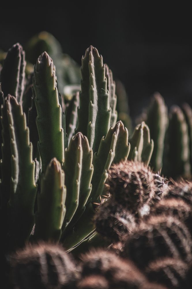 Photograph by Дмитрий Растихин