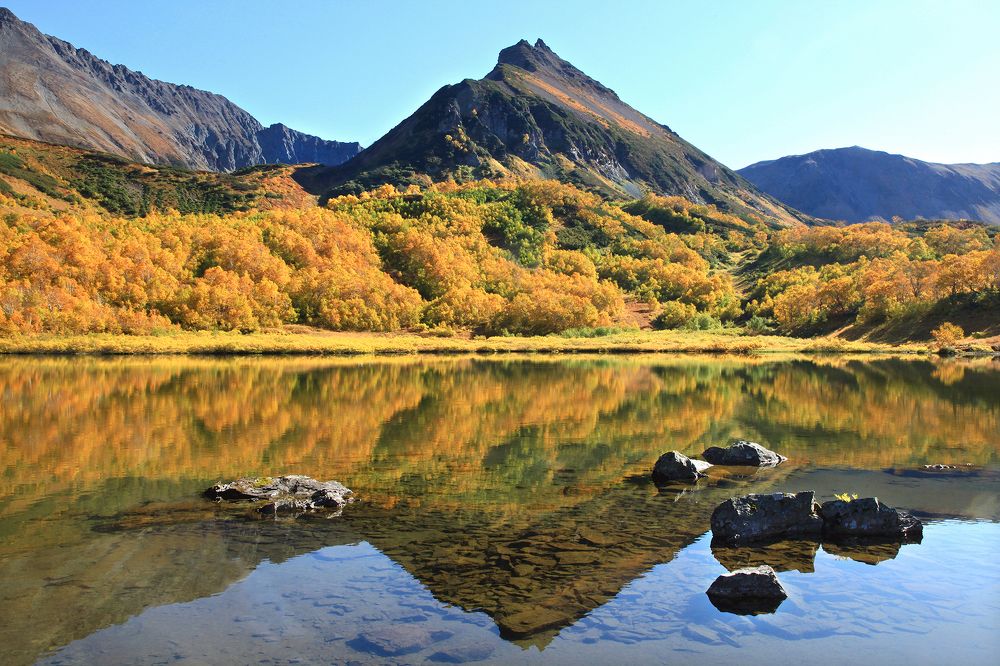 Камчатка осенняя