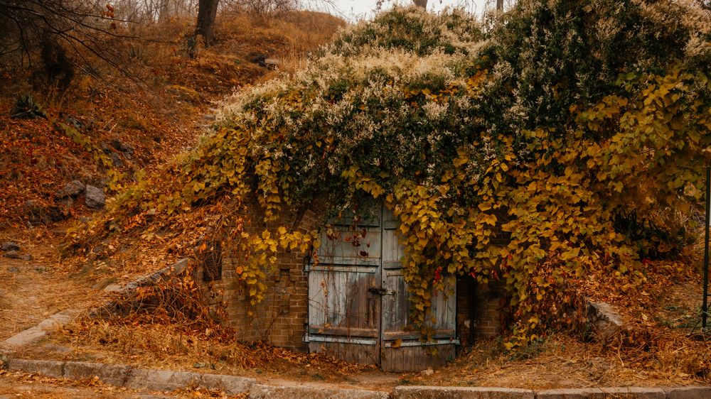 Photograph by Дмитрий Растихин