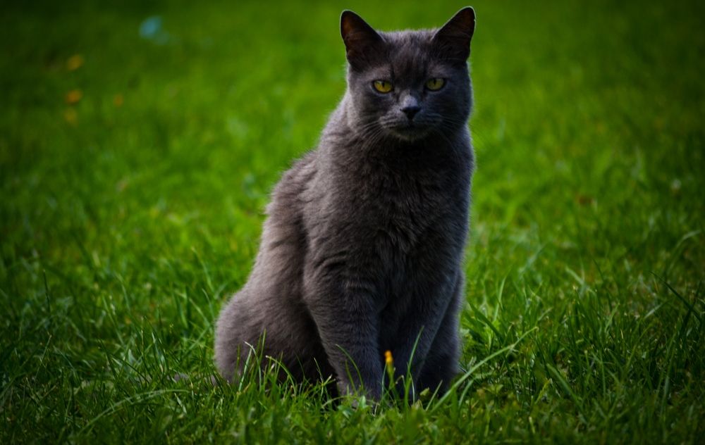 Photograph by Дарья Маркина