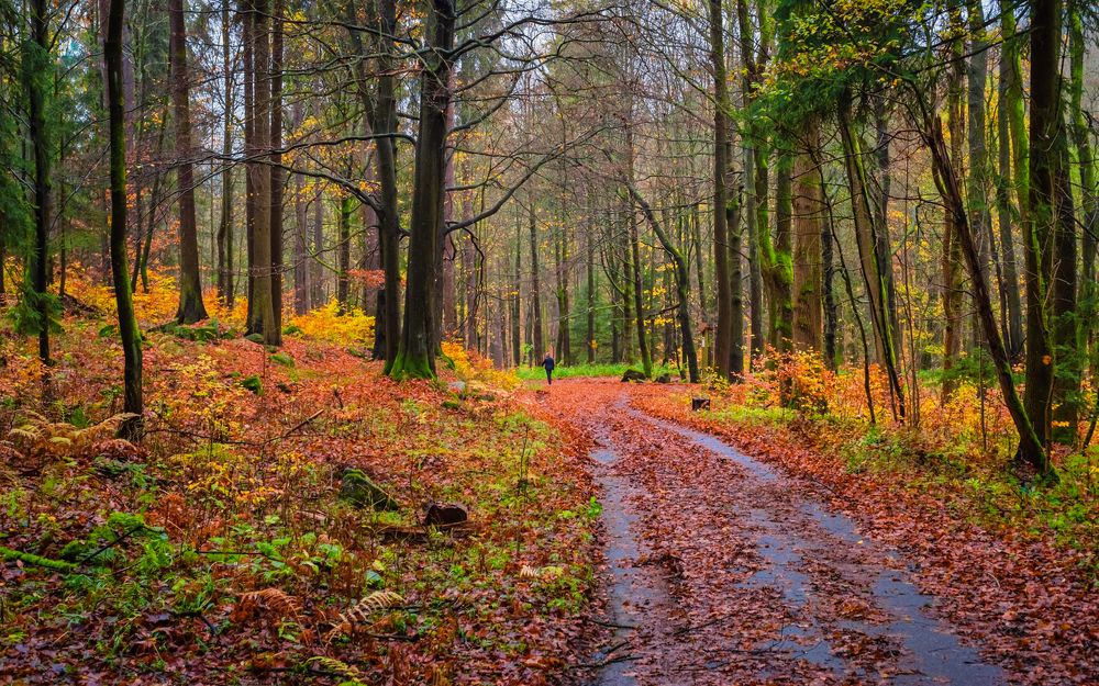 Photograph by Василий Речевский