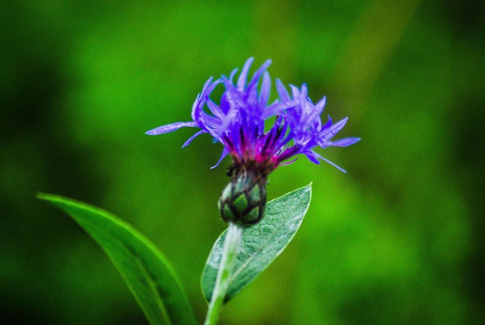 Photograph by Юлия Сурикова