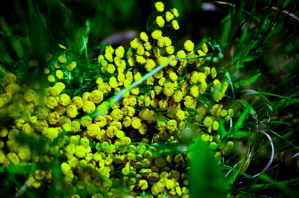 Photograph by Юлия Сурикова