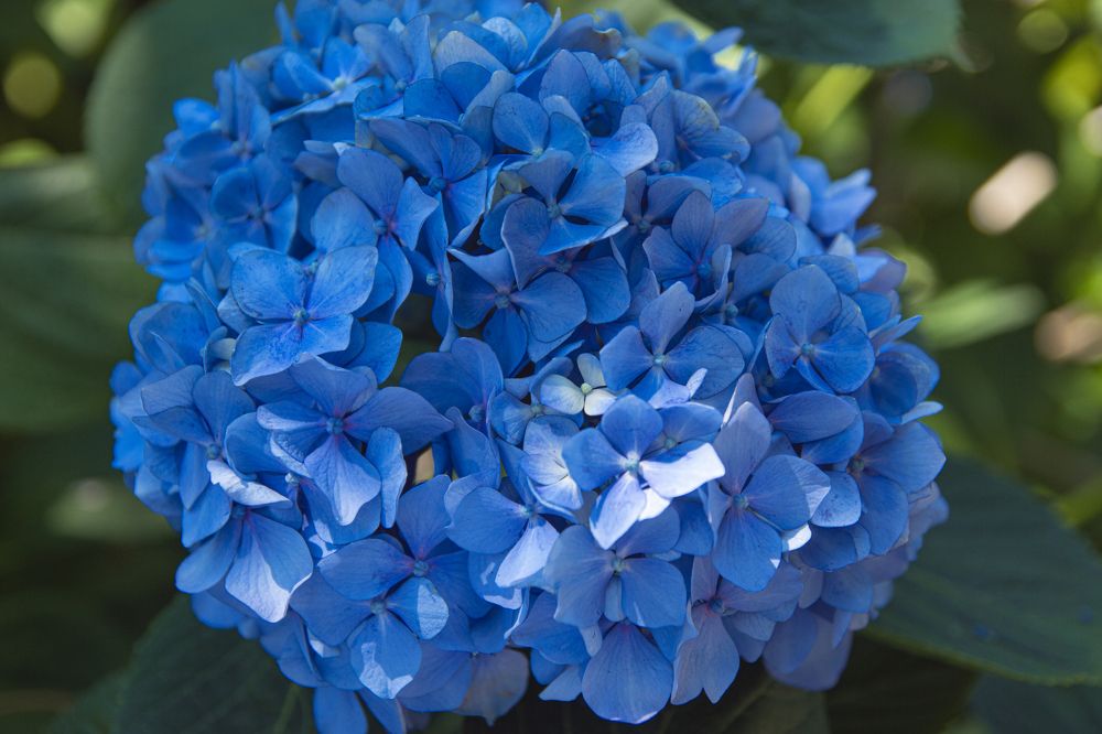 Photograph by Анна Васильева