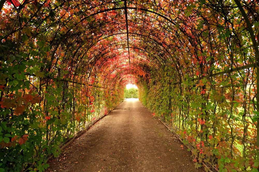 Photograph by Vitalijs Kopa