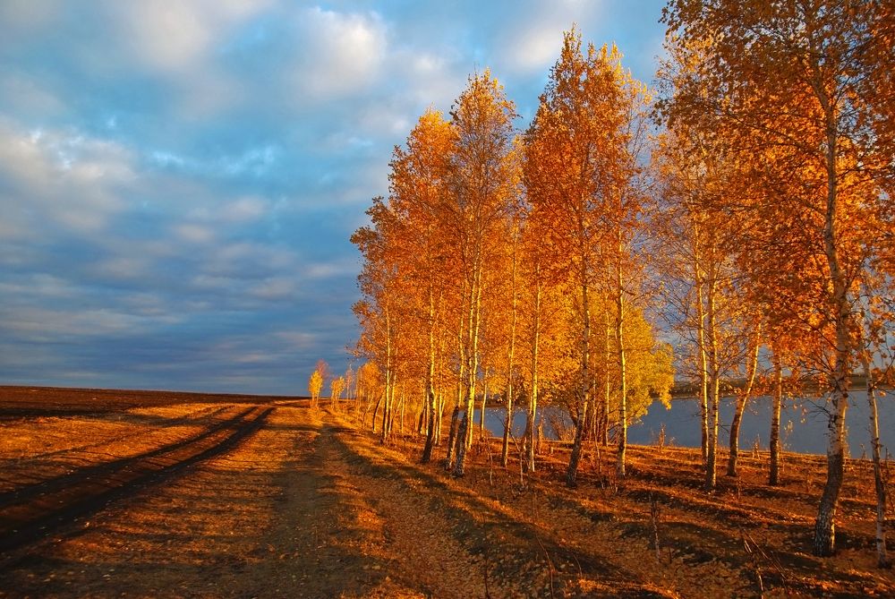 Photograph by Илфир Исламгазин