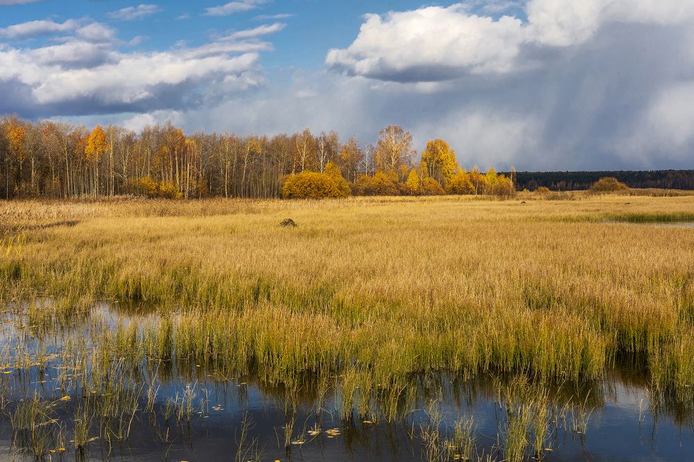 Фотография автора Refat Mamutov