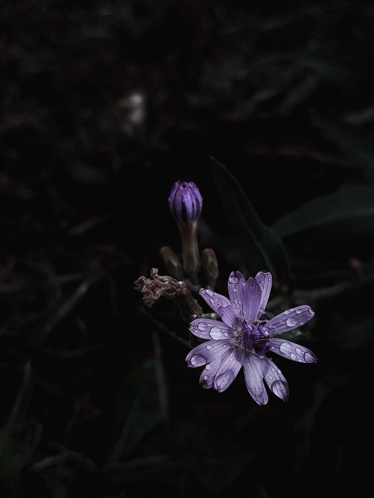 Photograph by Ксения Олина