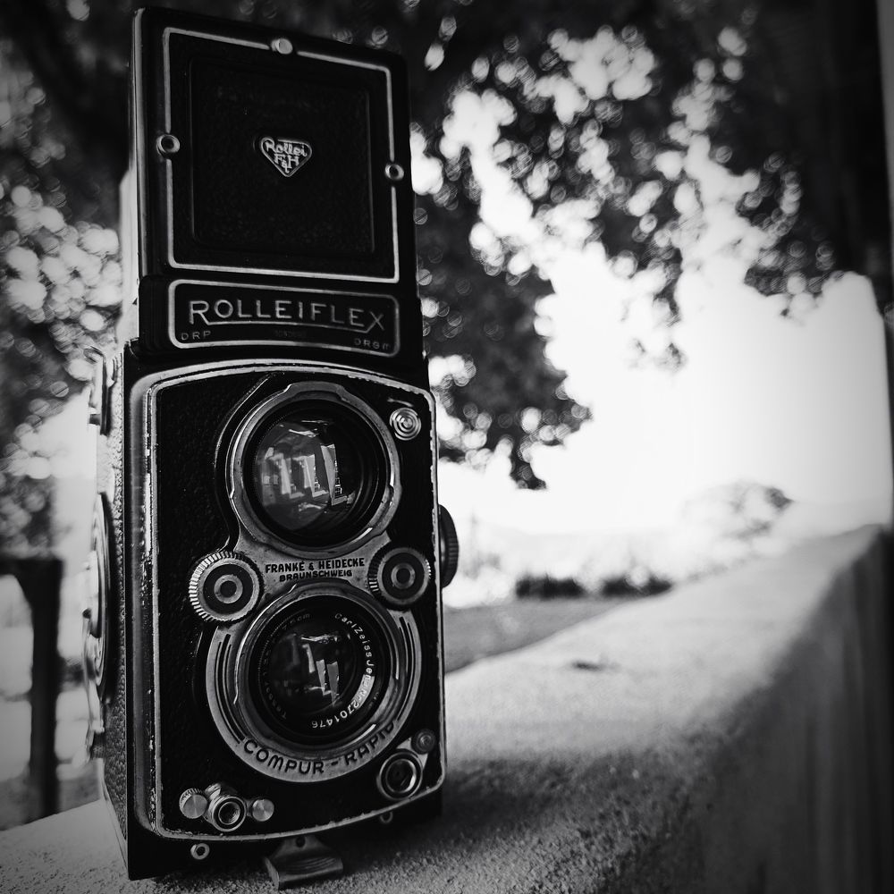 Photograph by Andrew Becker