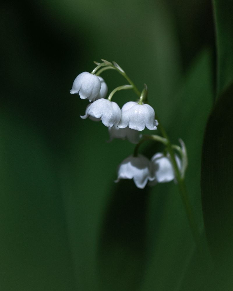 Photograph by Александр