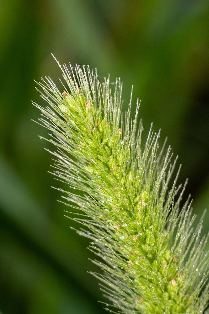 Photograph by Александр