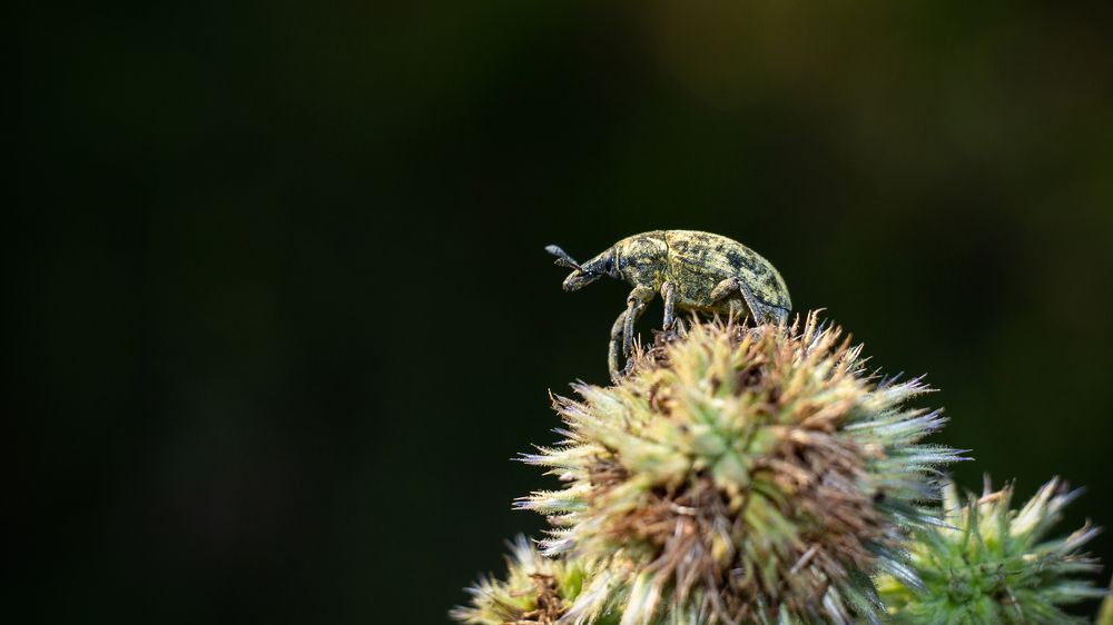 Photograph by Александр