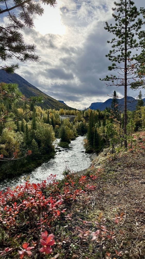 Photograph by Юлия Казимирова
