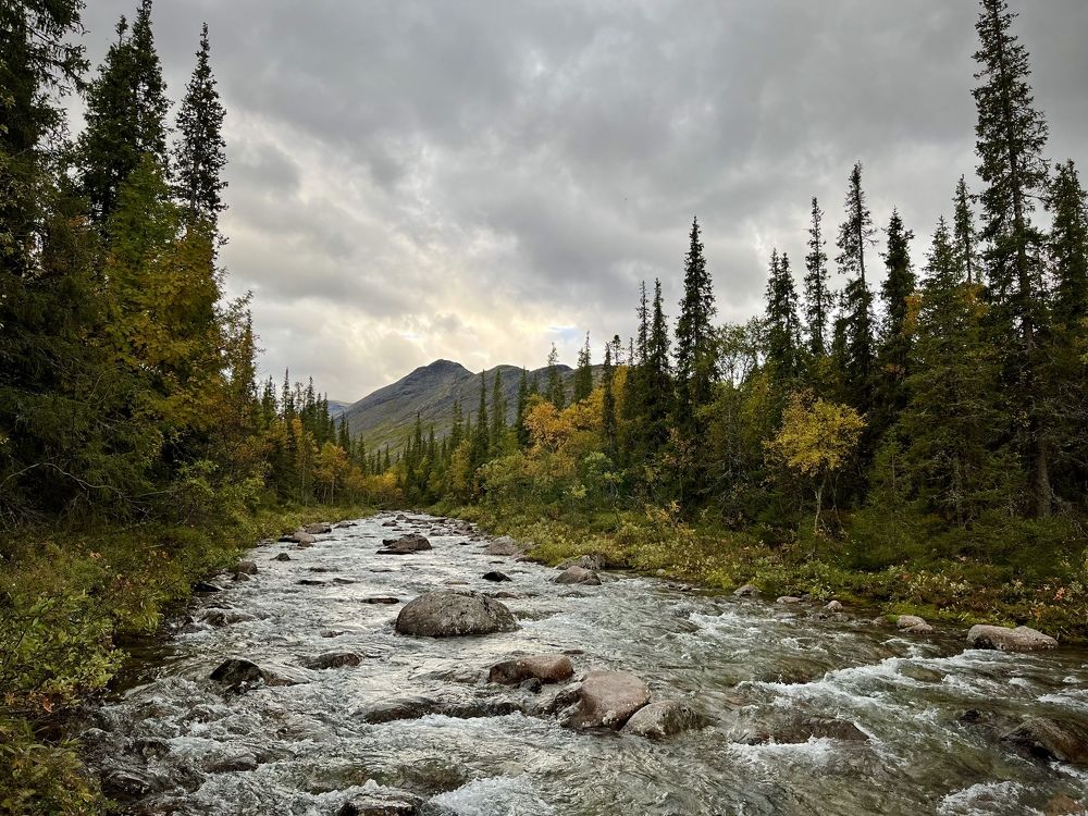 Photograph by Юлия Казимирова