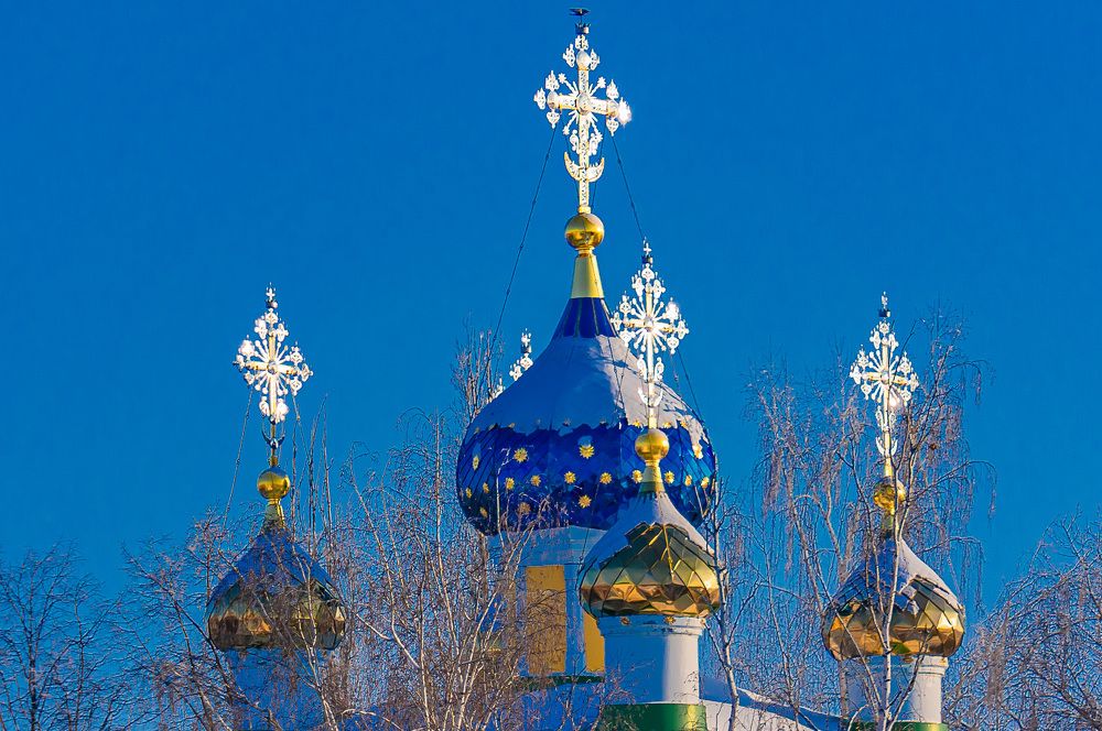 Фотография автора Николай Бологов