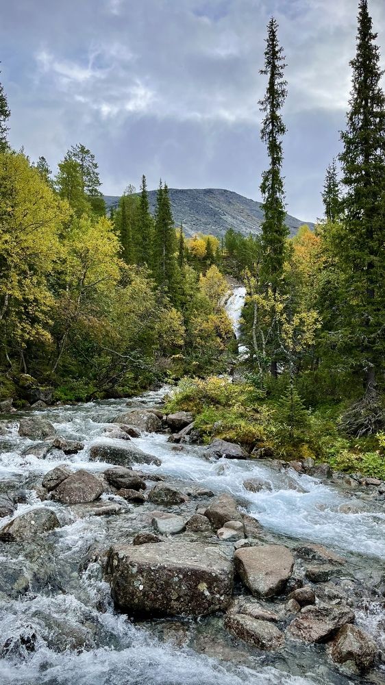 Photograph by Юлия Казимирова