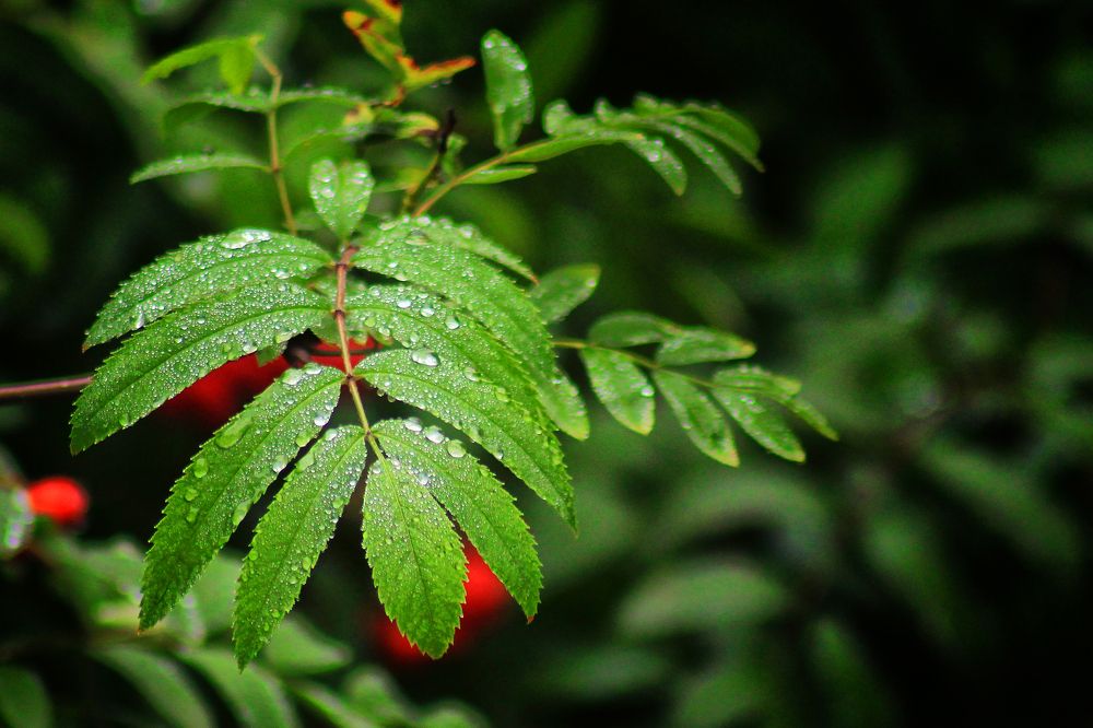 Photograph by Vitaliy Saposhnikov