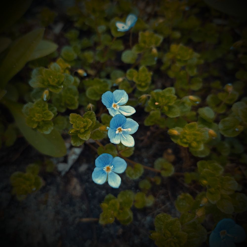 Photograph by Ирина Половцева