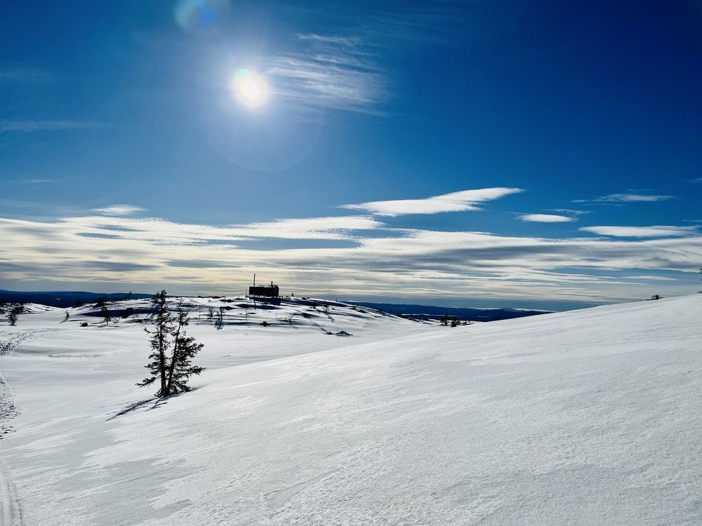 Photograph by Юлия Казимирова