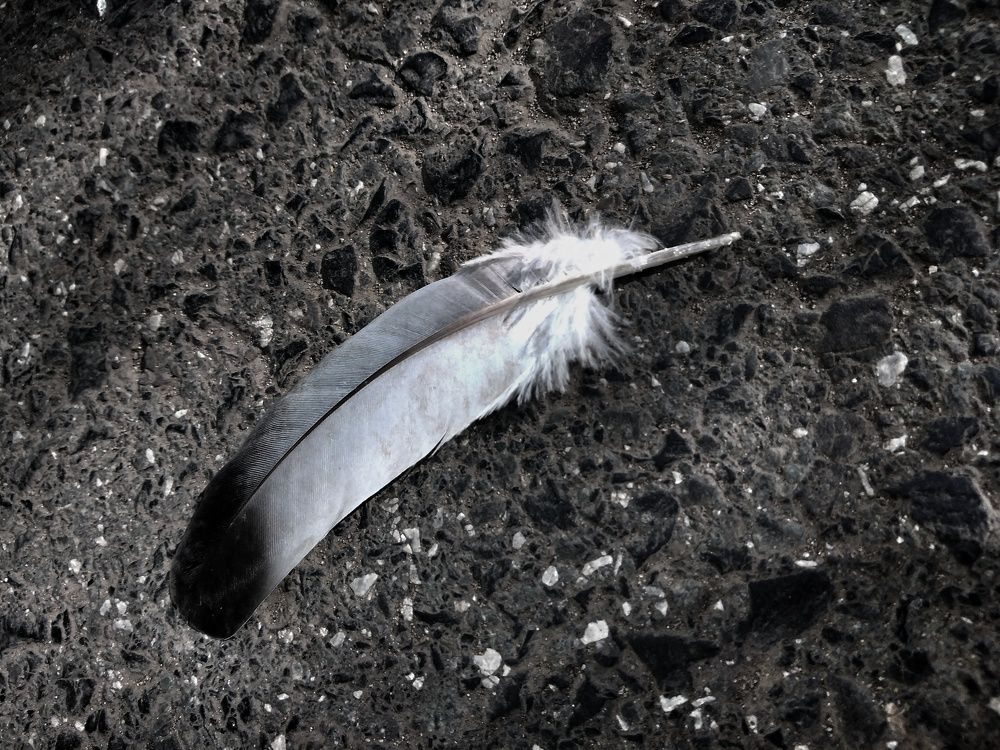 Photograph by Наталия Юминова