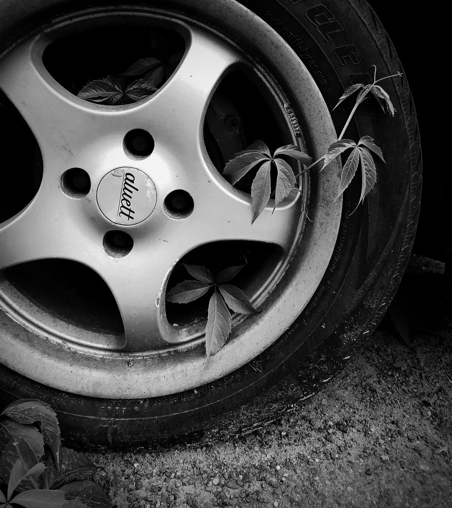 Photograph by Ирина Половцева