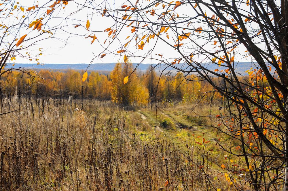 Photograph by Лилия Васильева