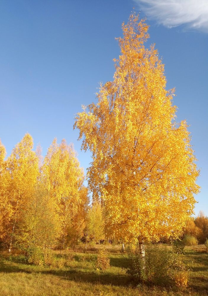 Photograph by Maiya Bulatova