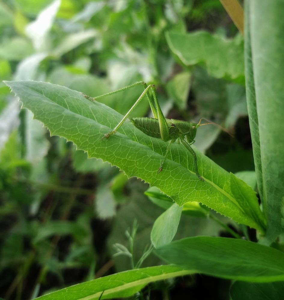 Photograph by Maiya Bulatova