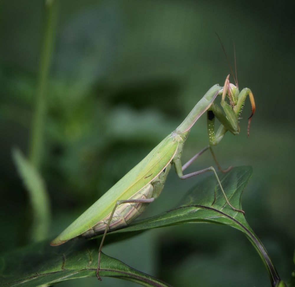 Photograph by Maiya Bulatova