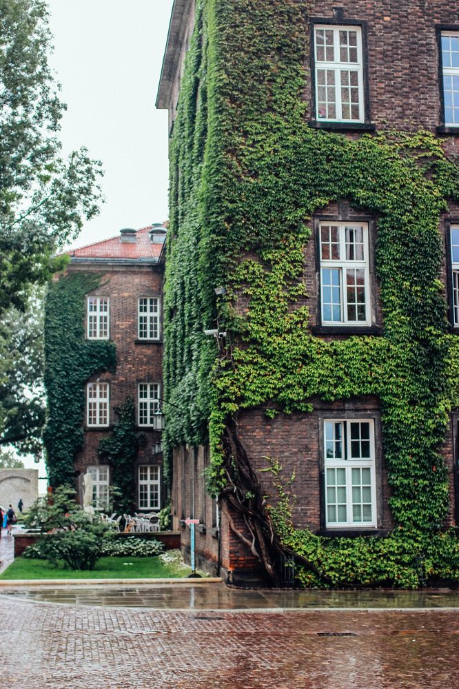 Photograph by Юлия Белозёрова