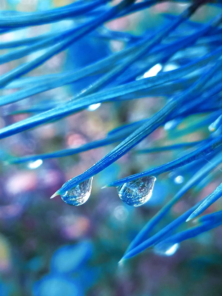 Photograph by Евсеева Валентина