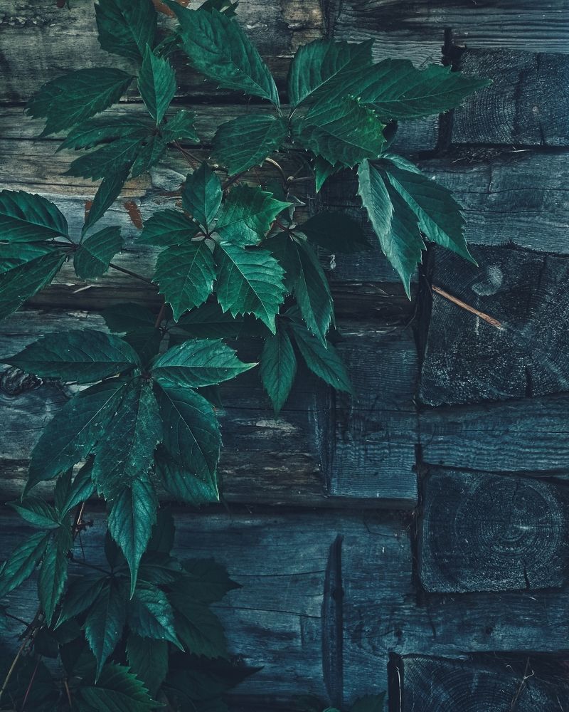 Photograph by Ольга Третьякова