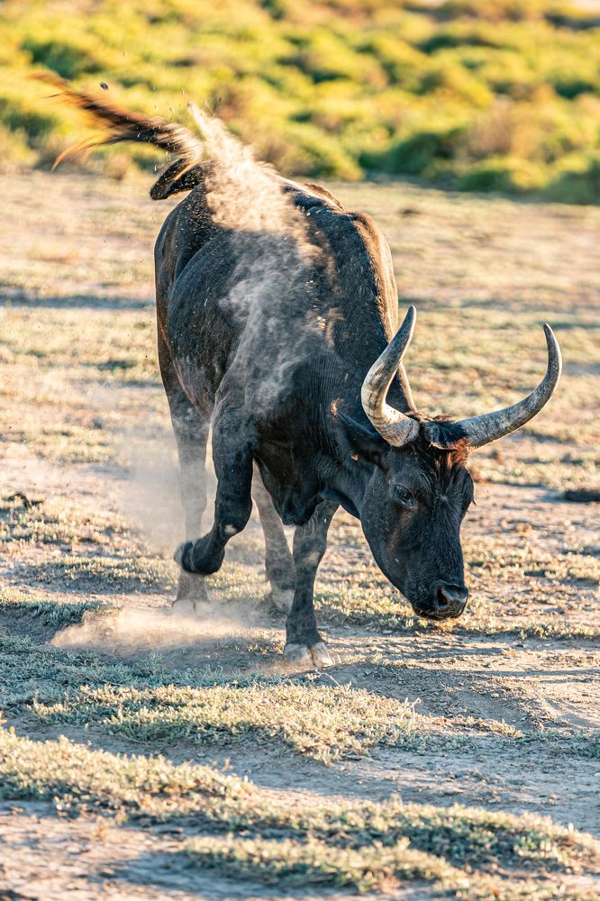 Photograph by Grégory Lissens