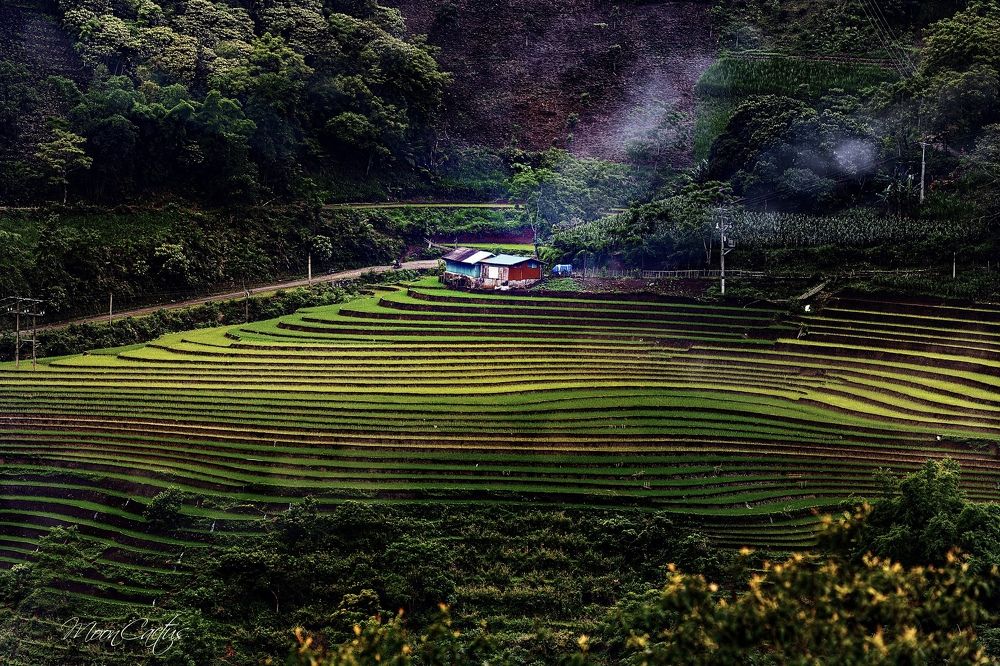 terraces in Lao Cai. Vietnam
