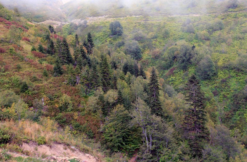 Photograph by Елена Титова